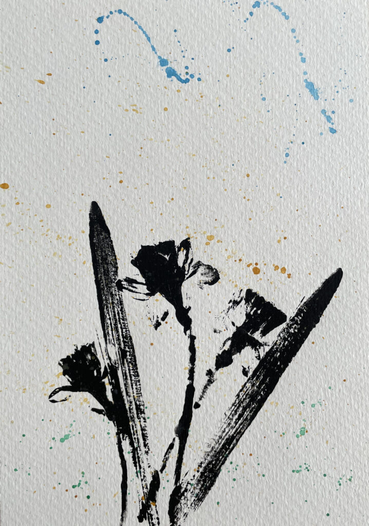 Daffodil Splash