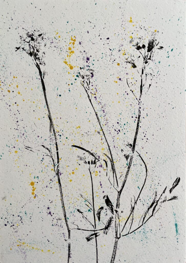 Cuckoo Flower Splash