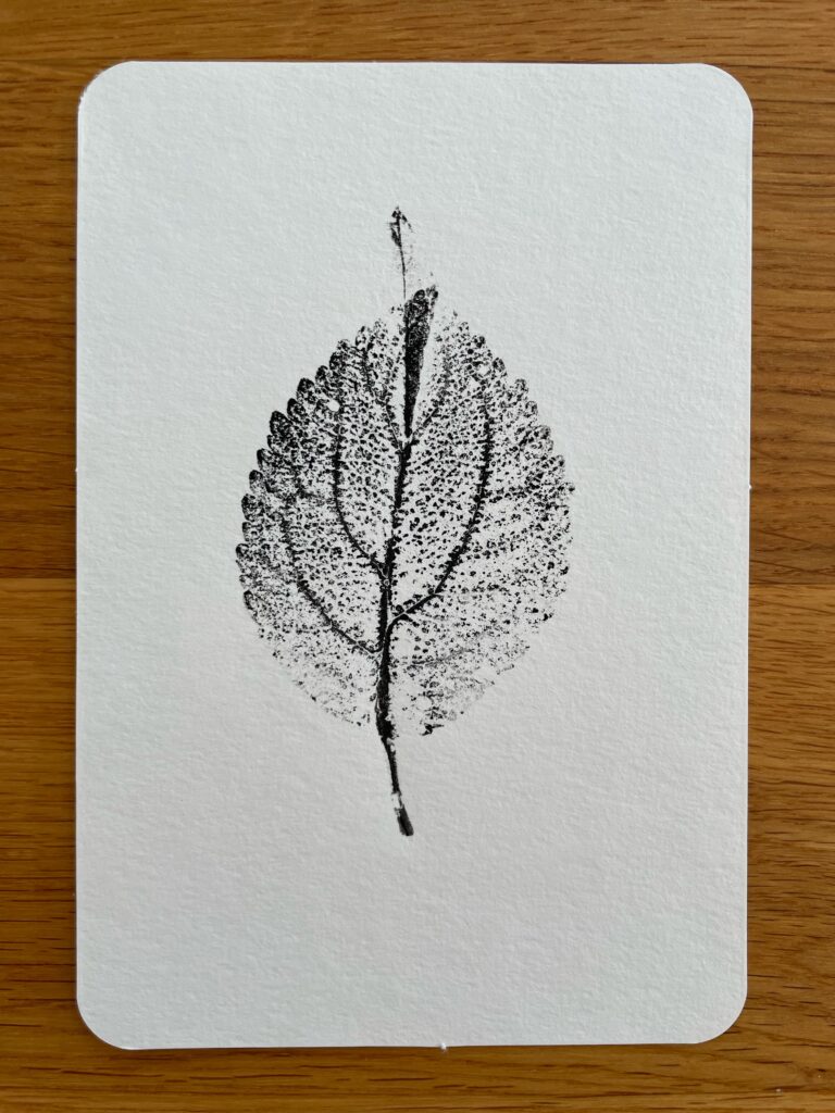 Leaf Series: Plum