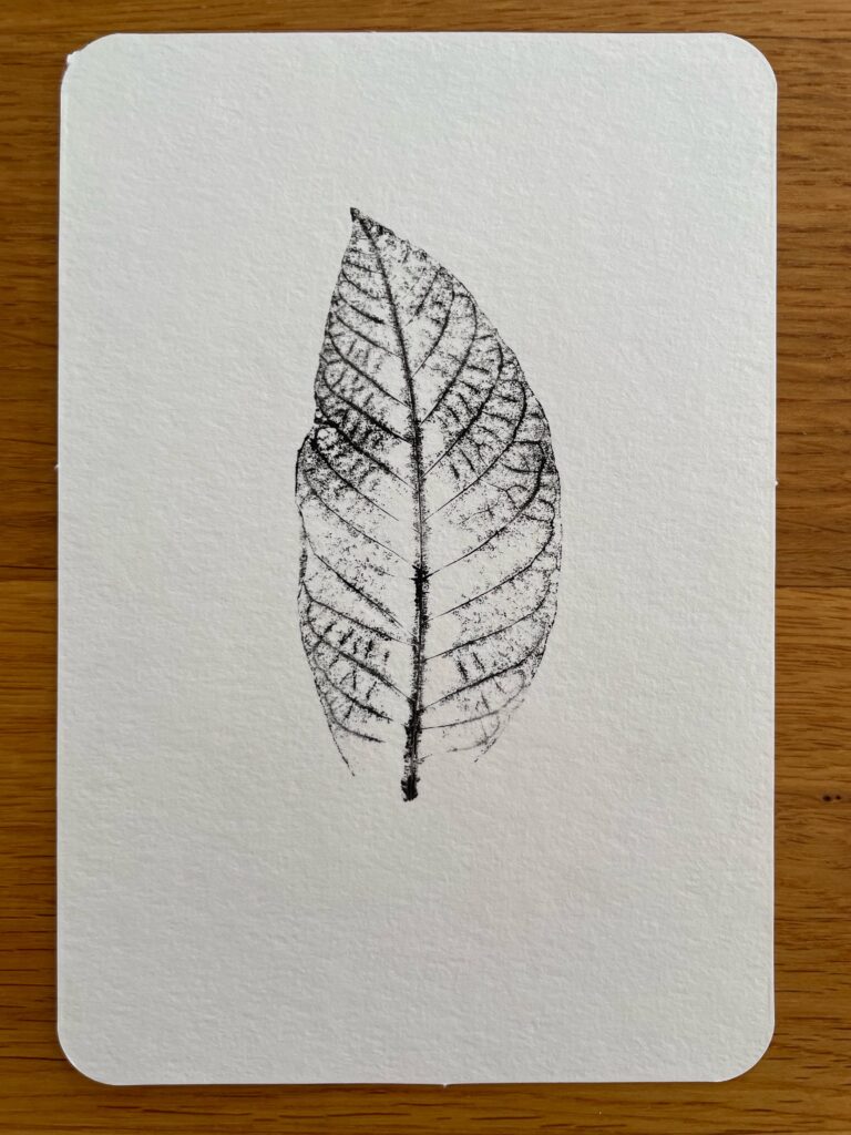 Leaf Series: Walnut
