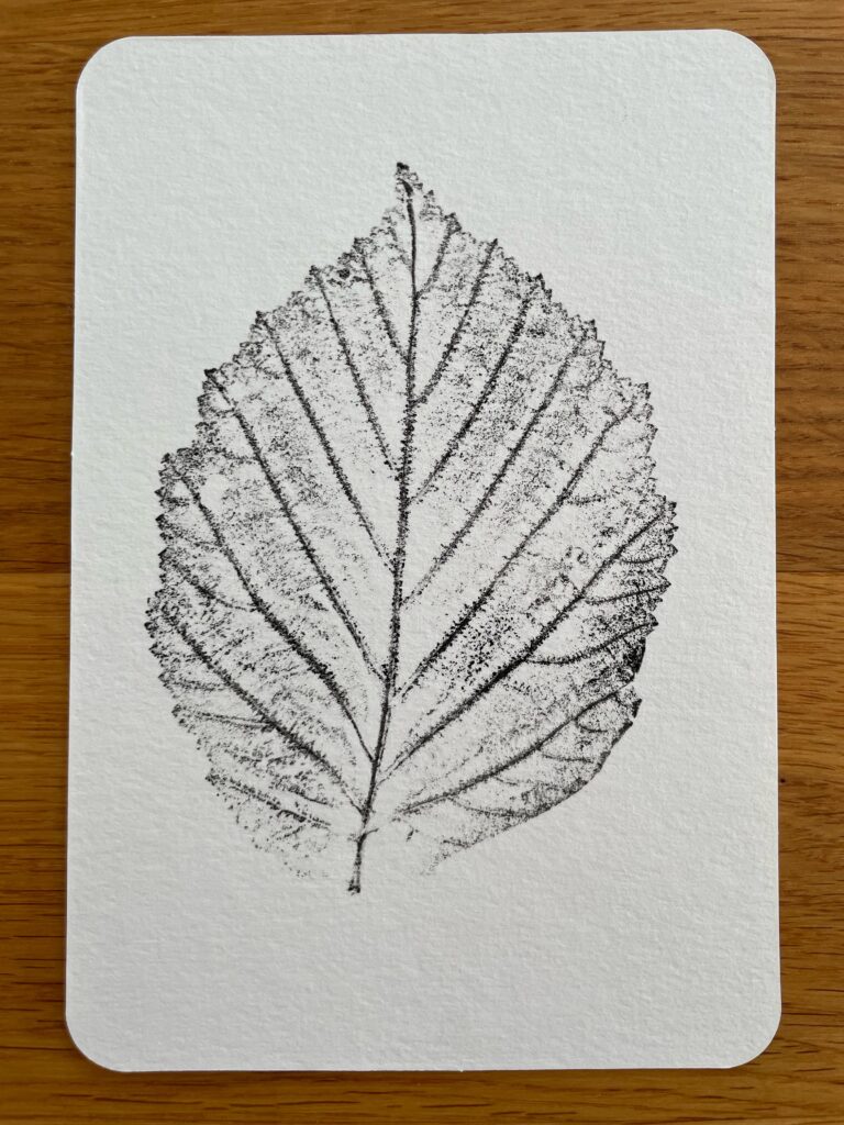 Leaf Series: Hazelnut