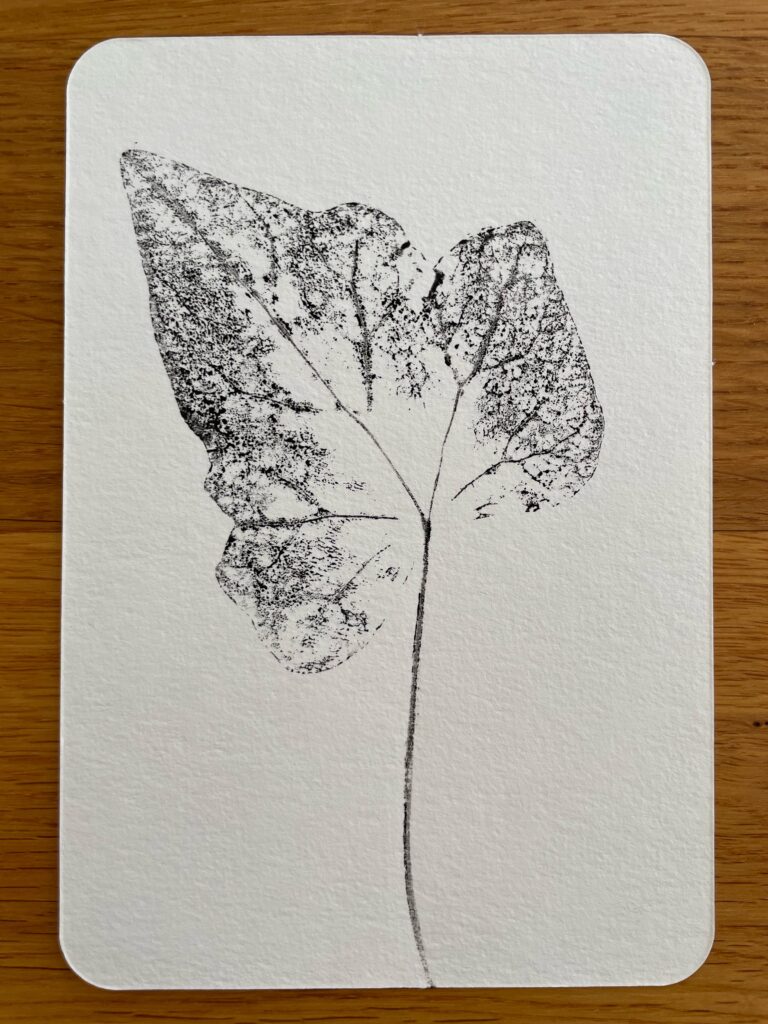 Leaf Series: Ivy